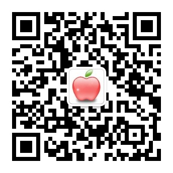 bob好玩吗